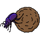 escarabajo