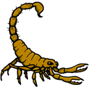 escorpion