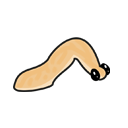 gusano