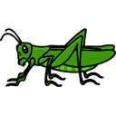 Saltamontes